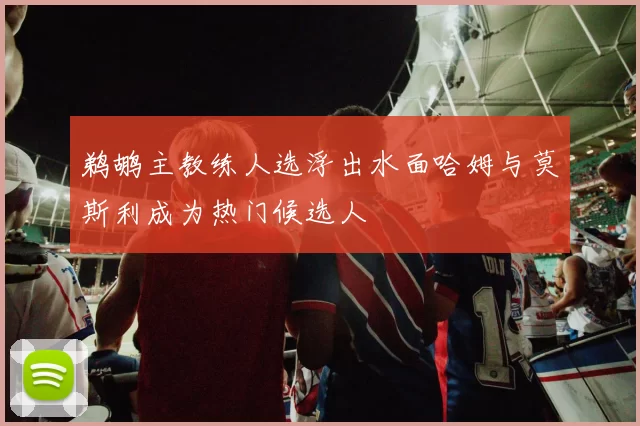 鹈鹕主教练人选浮出水面哈姆与莫斯利成为热门候选人